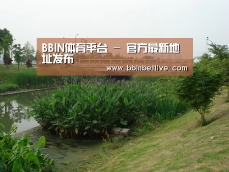 案例展示四(图1)