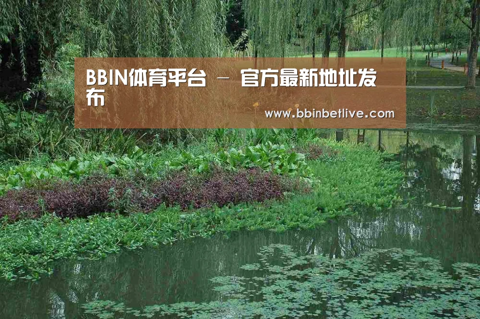 案例展示一(图1)