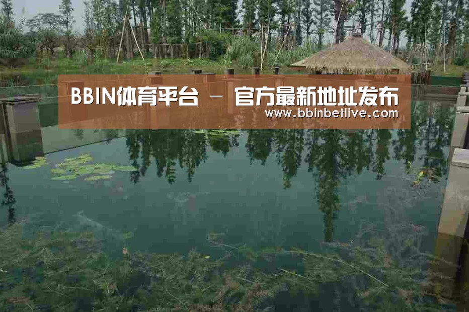 案例展示二