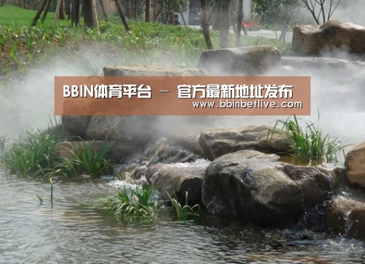 案例展示五