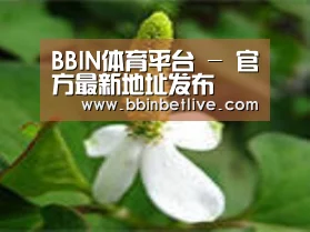 产品名称三