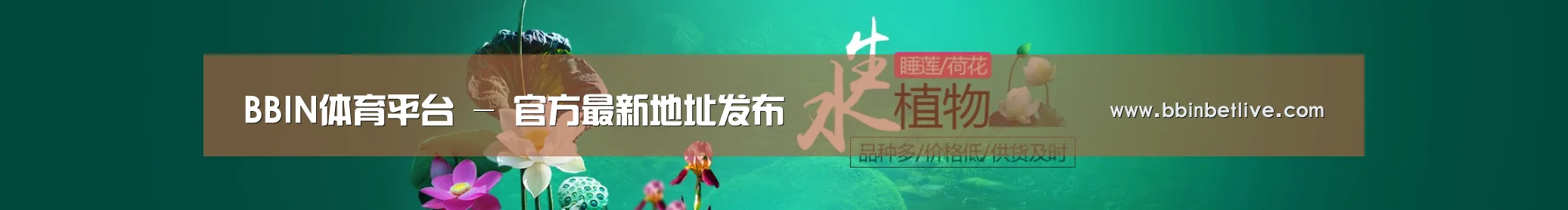 鲜花水草花卉网站模板