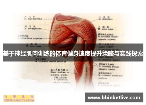基于神经肌肉训练的体育健身速度提升策略与实践探索