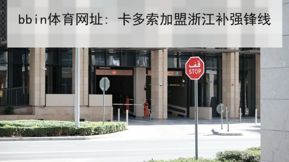bbin体育网址: 卡多索加盟浙江补强锋线