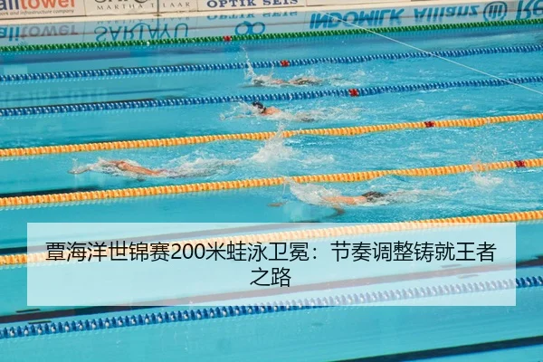 tan-hai-yang-shi-jin-sai-mi-wa-yong-wei-mian-jie-zou-tiao-zheng-zhu-jiu-wang-zhe-zhi-lu-2-282.jpg