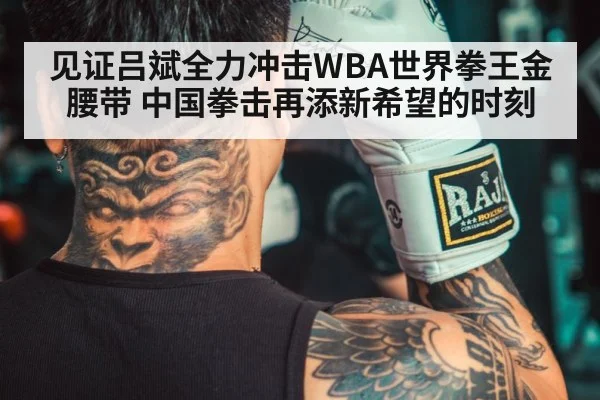 见证吕斌全力冲击WBA世界拳王金腰带 中国拳击再添新希望的时刻