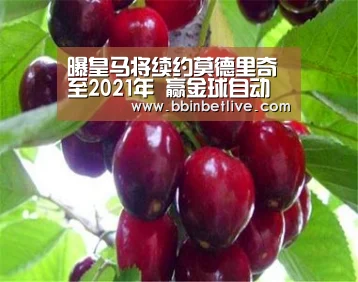 曝皇马将续约莫德里奇至2021年 赢金球自动续1年:BBIN棋牌,BBIN电子,BBIN视讯,BBIN登录(图2) BBIN棋牌,BBIN电子,BBIN视讯,BBIN登录