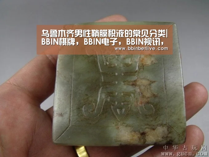 BBIN棋牌，BBIN电子，BBIN视讯，BBIN登录